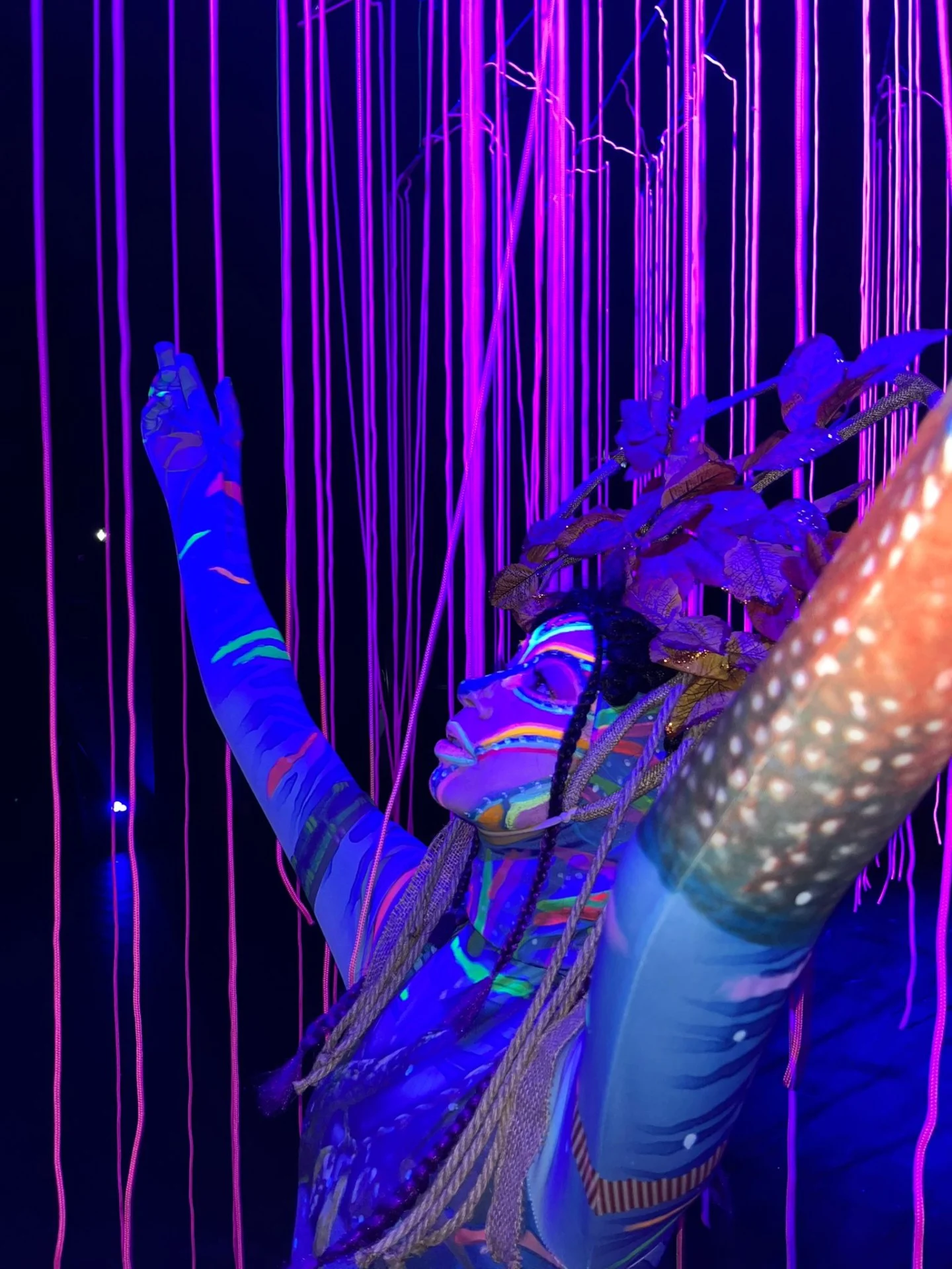 Img 20241216 wa0026 2 